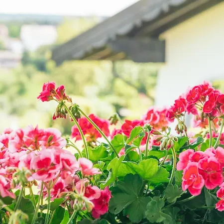 Landgasthaus Sonne Inn 3*