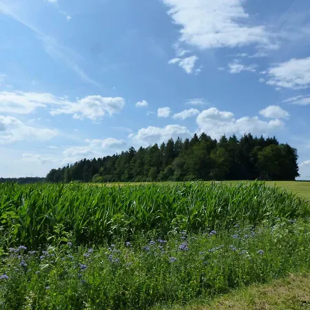 Landgasthaus Sonne Inn Freudenstadt